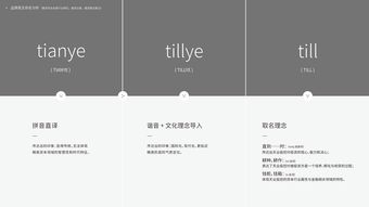 投资公司品牌设计方案二 以专业信任铸就价值主张
